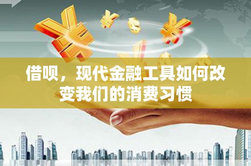 武川借呗，现代金融工具如何改变我们的消费习惯
