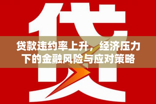 武川贷款违约率上升，经济压力下的金融风险与应对策略