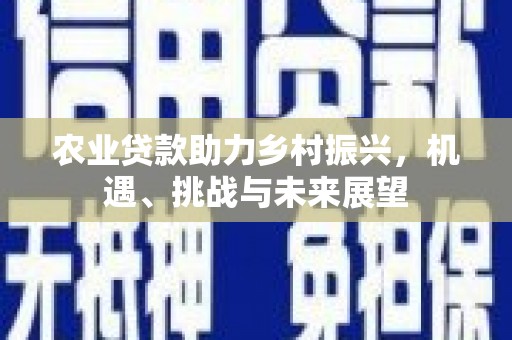 武川农业贷款助力乡村振兴，机遇、挑战与未来展望