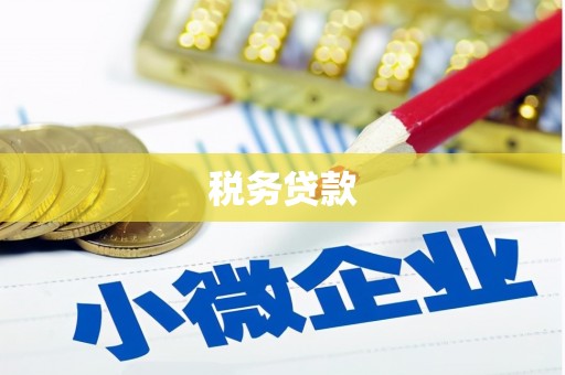 武川税务贷款