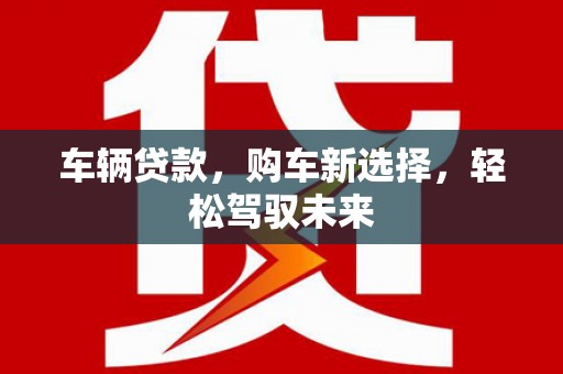 武川车辆贷款，购车新选择，轻松驾驭未来