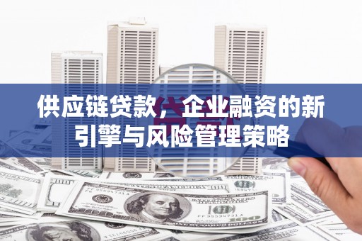 武川供应链贷款，企业融资的新引擎与风险管理策略