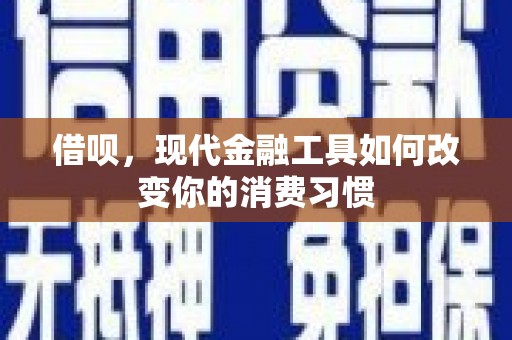 武川借呗，现代金融工具如何改变你的消费习惯