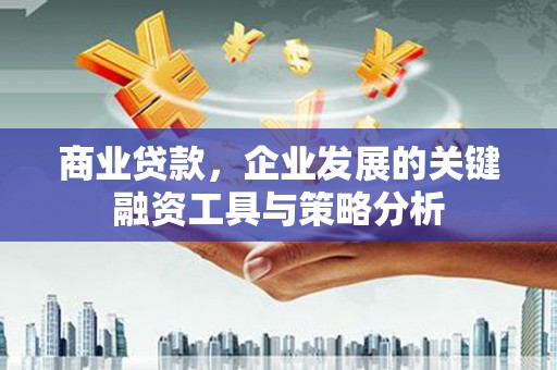 武川商业贷款，企业发展的关键融资工具与策略分析
