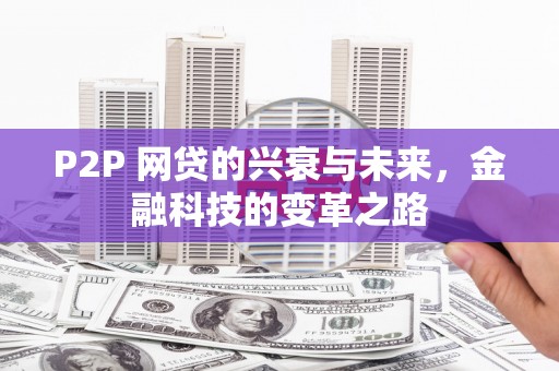 武川P2P 网贷的兴衰与未来，金融科技的变革之路