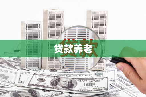 武川贷款养老