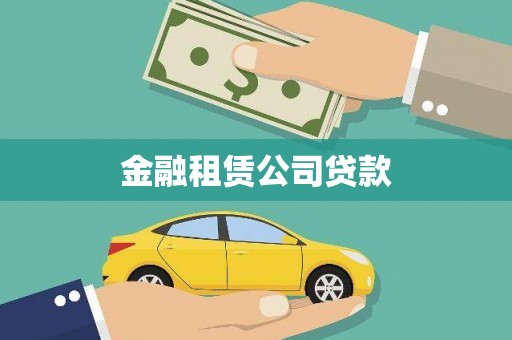 武川金融租赁公司贷款