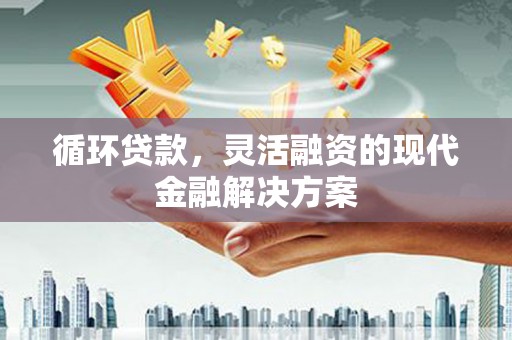 武川循环贷款，灵活融资的现代金融解决方案