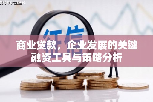 武川商业贷款，企业发展的关键融资工具与策略分析