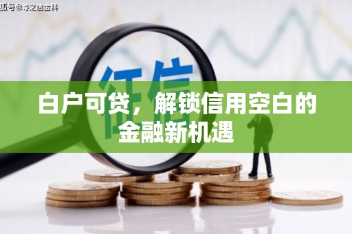 武川白户可贷，解锁信用空白的金融新机遇