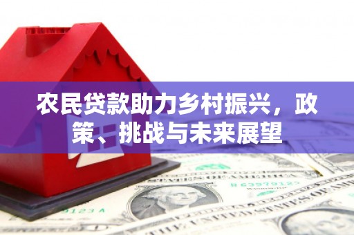 武川农民贷款助力乡村振兴，政策、挑战与未来展望