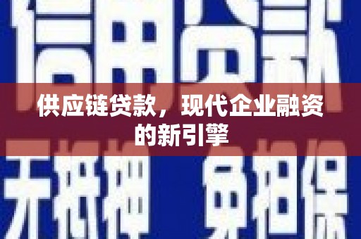武川供应链贷款，现代企业融资的新引擎