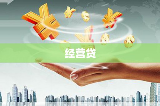 武川经营贷