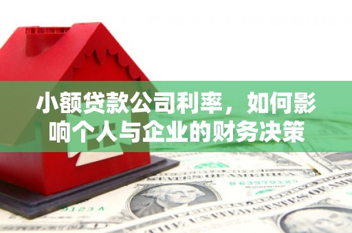 武川小额贷款公司利率，如何影响个人与企业的财务决策