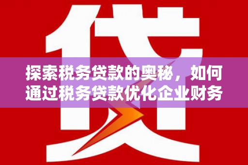 武川探索税务贷款的奥秘，如何通过税务贷款优化企业财务
