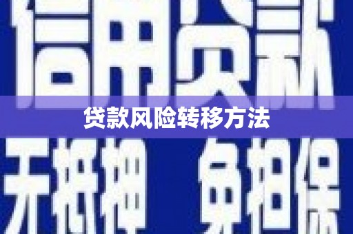 武川贷款风险转移方法