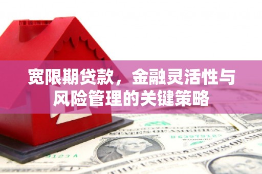 武川宽限期贷款，金融灵活性与风险管理的关键策略