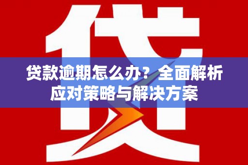 武川贷款逾期怎么办？全面解析应对策略与解决方案