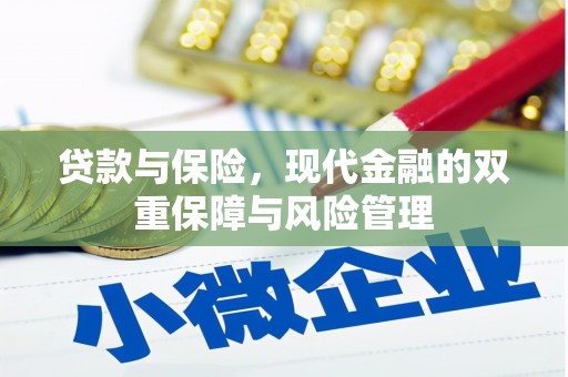 武川贷款与保险，现代金融的双重保障与风险管理