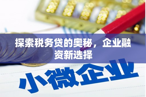 武川探索税务贷的奥秘，企业融资新选择