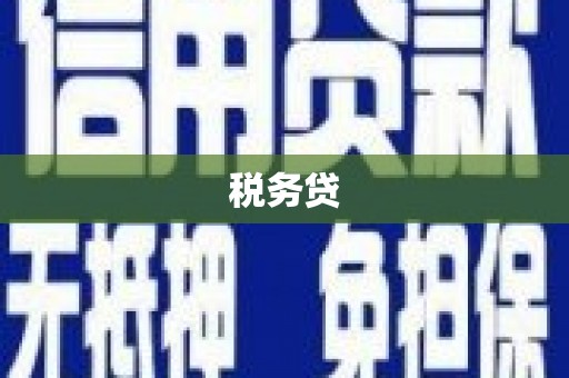 武川税务贷