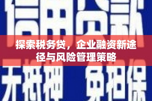 武川探索税务贷，企业融资新途径与风险管理策略