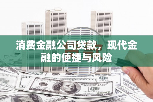 武川消费金融公司贷款，现代金融的便捷与风险