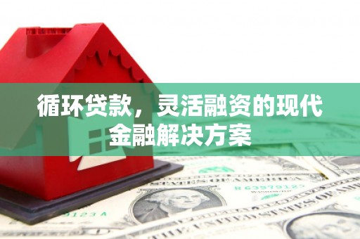 武川循环贷款，灵活融资的现代金融解决方案