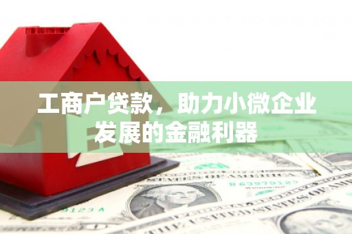武川工商户贷款，助力小微企业发展的金融利器