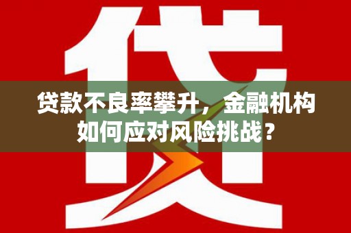武川贷款不良率攀升，金融机构如何应对风险挑战？