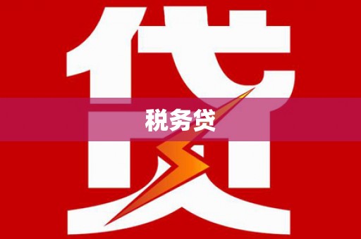 武川税务贷