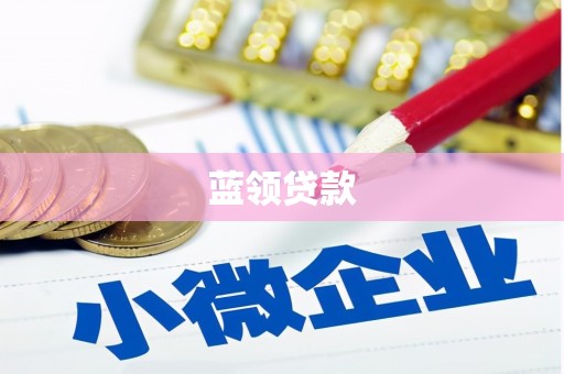 武川蓝领贷款