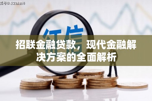 武川招联金融贷款，现代金融解决方案的全面解析