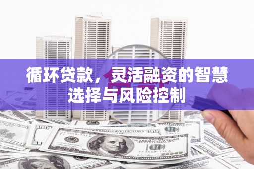 武川循环贷款，灵活融资的智慧选择与风险控制
