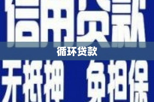 武川循环贷款