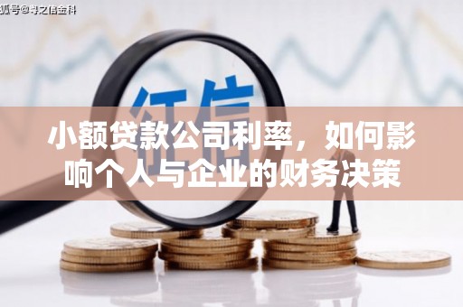 武川小额贷款公司利率，如何影响个人与企业的财务决策