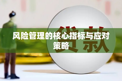 武川风险管理的核心指标与应对策略