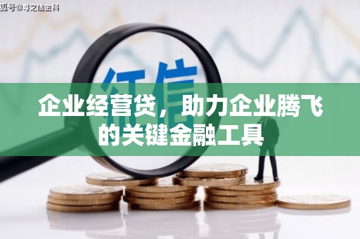 武川企业经营贷，助力企业腾飞的关键金融工具