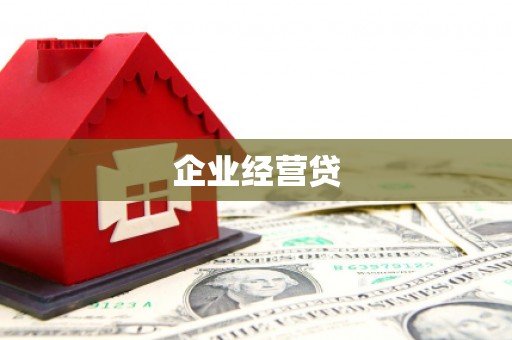 武川企业经营贷