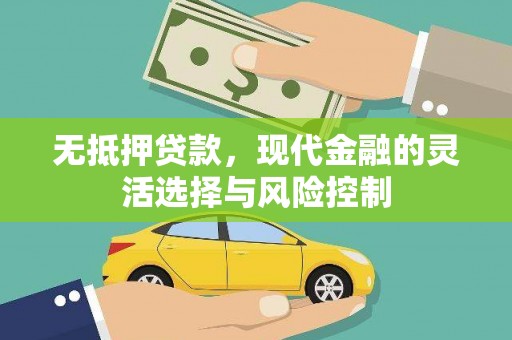 武川无抵押贷款，现代金融的灵活选择与风险控制
