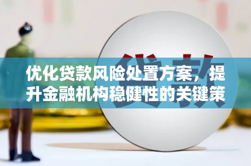 武川优化贷款风险处置方案，提升金融机构稳健性的关键策略
