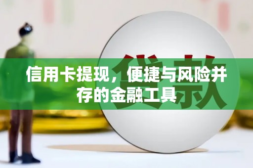 武川信用卡提现，便捷与风险并存的金融工具
