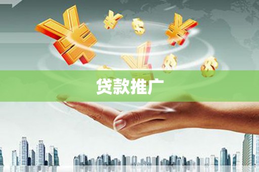 武川贷款推广