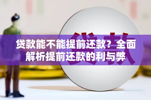 武川贷款能不能提前还款？全面解析提前还款的利与弊