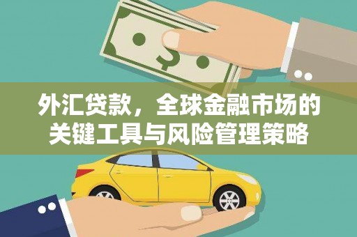 武川外汇贷款，全球金融市场的关键工具与风险管理策略