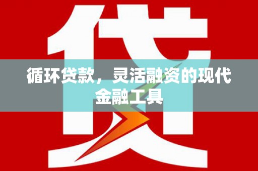 武川循环贷款，灵活融资的现代金融工具