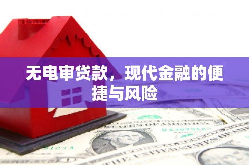 武川无电审贷款，现代金融的便捷与风险