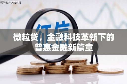 武川微粒贷，金融科技革新下的普惠金融新篇章