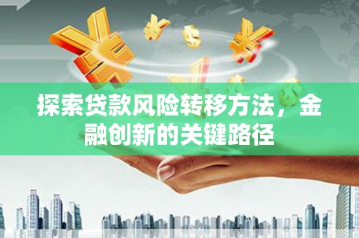 武川探索贷款风险转移方法，金融创新的关键路径
