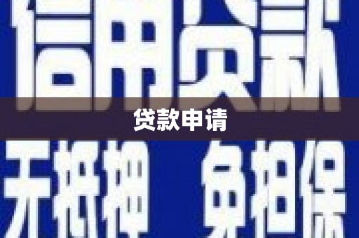 武川贷款申请